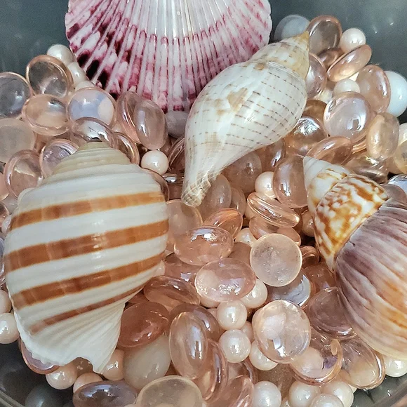 1qt Glass Pearls, Pink Irredescent Glass & Pink Cabachons, 4 shells🐚(3lbs 13oz) - Picture 4 of 6
